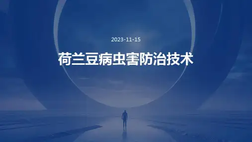 荷兰豆病虫害防治技术