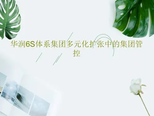 华润6S体系集团多元化扩张中的集团管控共50页