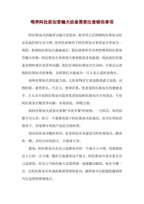 喂养阿拉斯加雪橇犬幼崽需要注意哪些事项