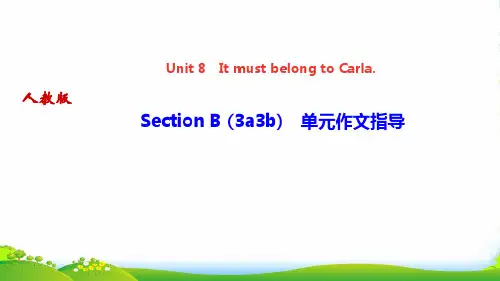 人教新目标九年级英语作业课件：Unit 8Section B (3a3b) 单元作文指导