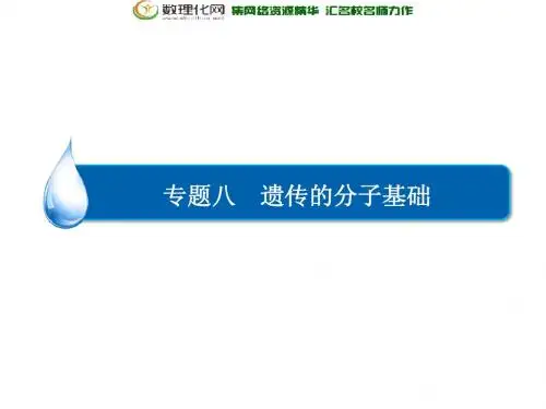 高考生物二轮专题复习【专题8】遗传的分子ppt基础课件
