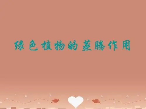 七年级生物上册 2.1.2 绿色植物的蒸腾作用课件 (新版)济南版