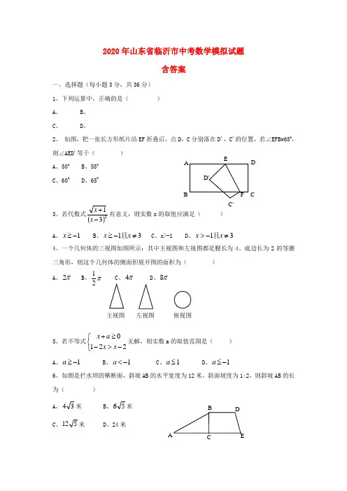 2020年山东省临沂市中考数学模拟试题(含答案)