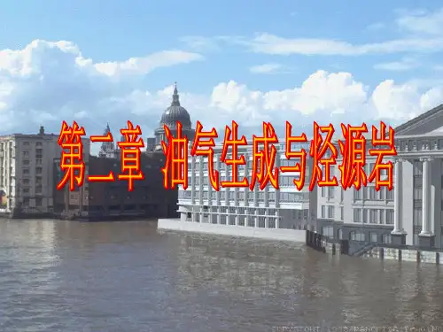 油气生成与烃源岩的关系