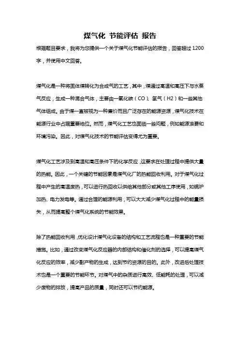 煤气化 节能评估 报告