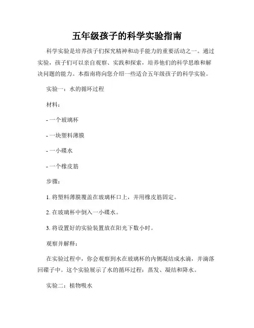五年级孩子的科学实验指南