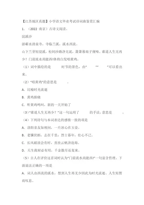 【江苏地区真题】小学语文毕业考试诗词曲鉴赏汇编(含答案)