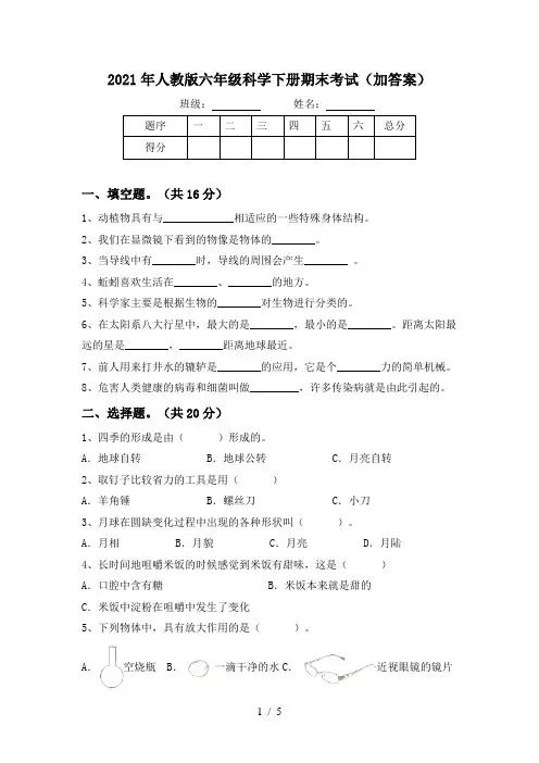 2021年人教版六年级科学下册期末考试(加答案)
