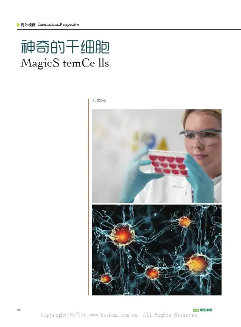 神奇的干细胞