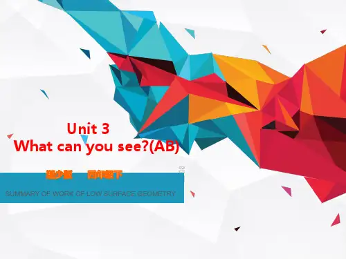 四年级英语下册课件-Unit 3 What can you see（5）-湘少版