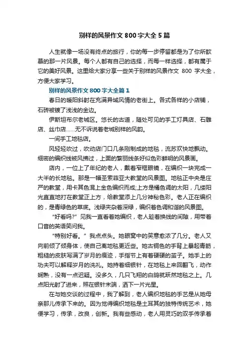 别样的风景作文800字大全5篇