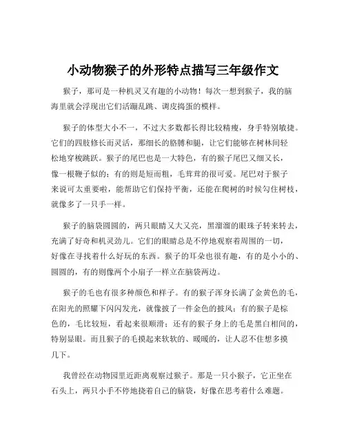 小动物猴子的外形特点描写三年级作文