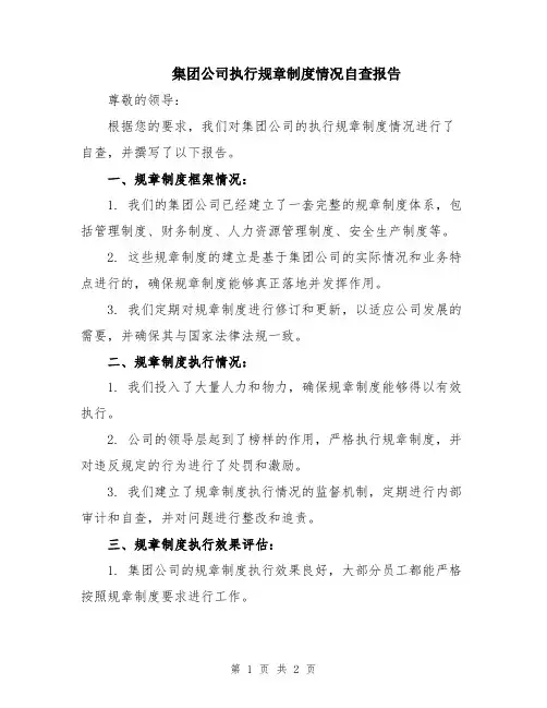 集团公司执行规章制度情况自查报告