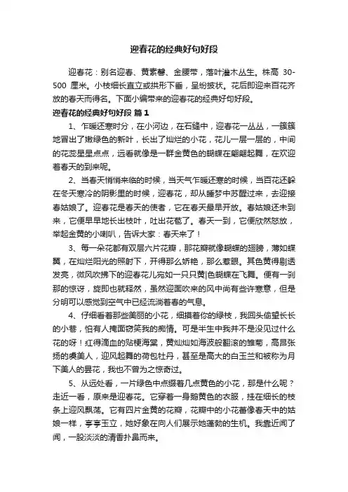 关于迎春花的经典好句好段