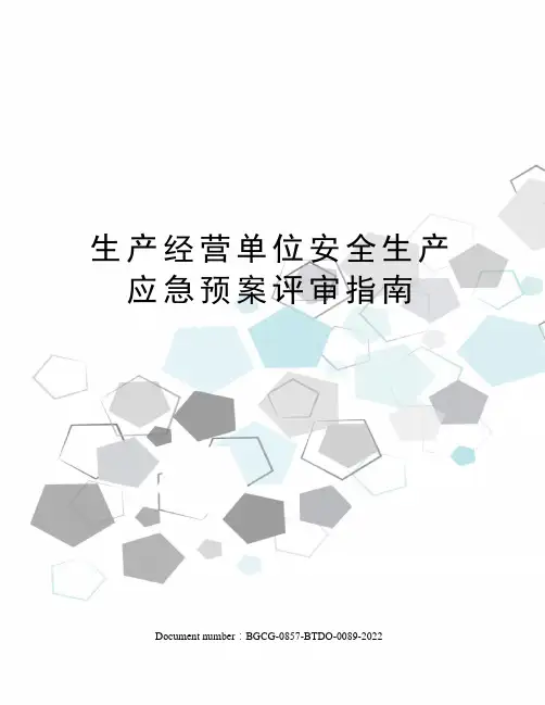 生产经营单位安全生产应急预案评审指南