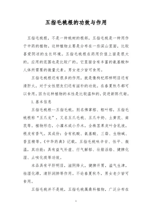 五指毛桃根的功效与作用