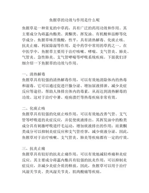 鱼腥草的功效与作用是什么呢