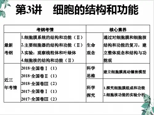 细胞的结构功能-高考一轮复习生物优质ppt课件