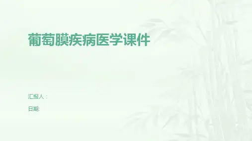 葡萄膜疾病医学课件