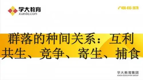 种间关系