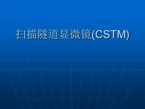 扫描隧道显微镜(CSTM)