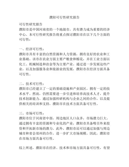 濮阳可行性研究报告