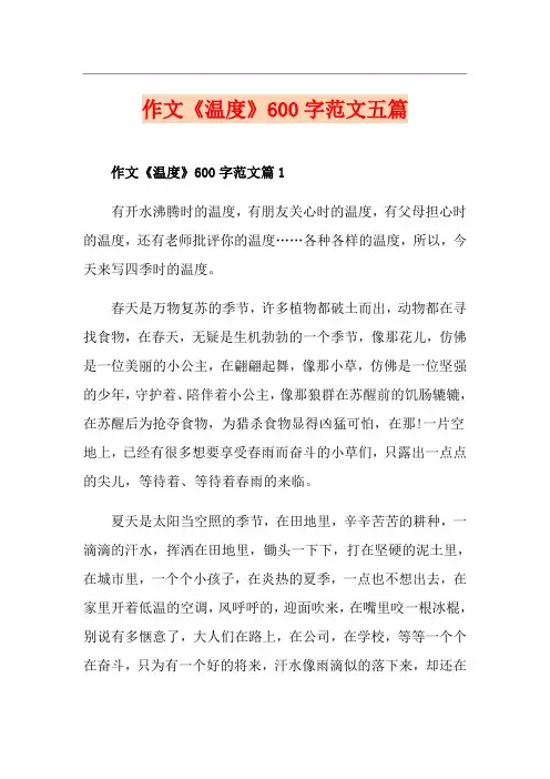 作文《温度》600字范文五篇