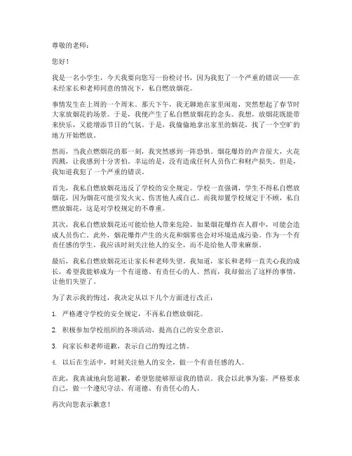 小孩放烟花被罚检讨书范文