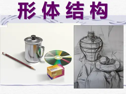 形体结构