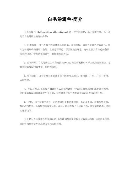 白毛卷瓣兰-简介