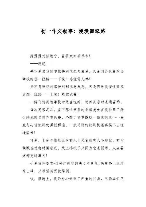初一作文叙事：漫漫回家路