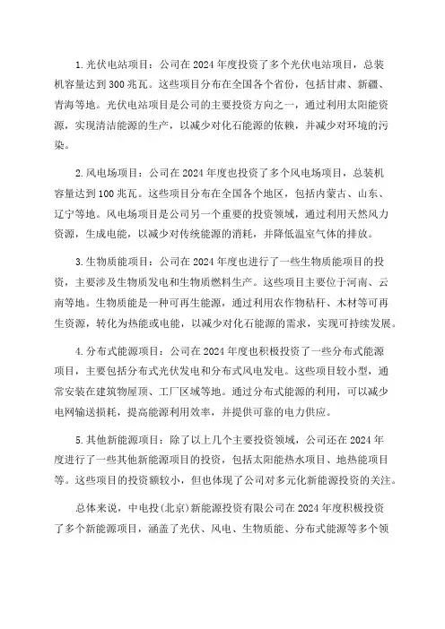 中电投新能源投资有限公司2024年度项目信息一览表