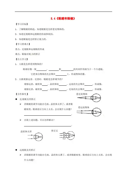 广西合浦县第五中学八年级物理上册 5.4 眼睛和眼镜导学案(无答案)(新版)新人教版