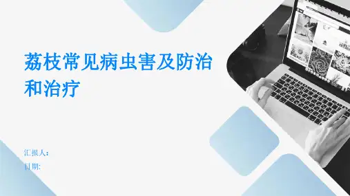荔枝常见病虫害及防治和治疗