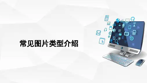 1.4点阵图、矢量图、像素等概念