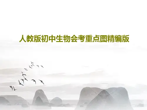 人教版初中生物会考重点图精编版共33页PPT