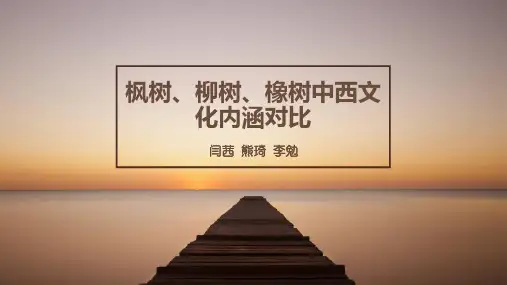 枫树、柳树、橡树中西文化内涵对比详述