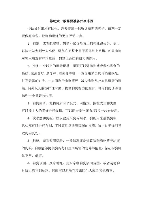 养幼犬一般需要准备什么东西