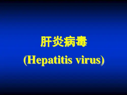 肝炎病毒介绍演示课件
