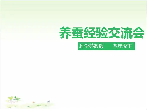 四年级下册科学-养蚕经验交流会苏教版