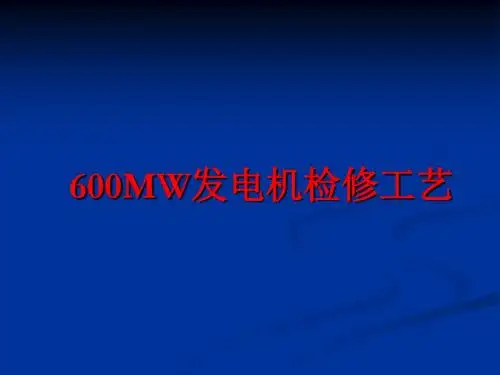 600MW发电机检修工艺