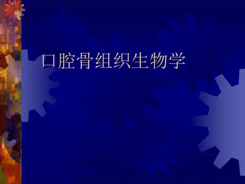 第五章 口腔骨组织生物学-ldd