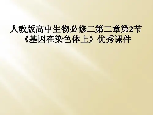 人教版高中生物必修二第二章第2节《基因在染色体上》优秀课件