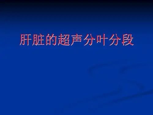 肝脏超声分叶、分段