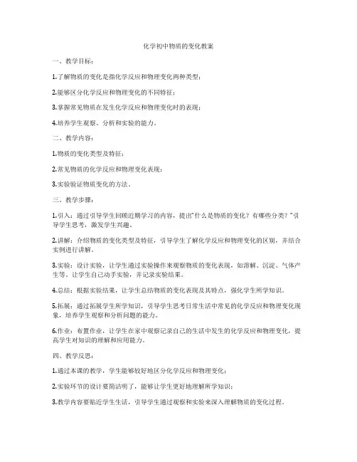 化学初中物质的变化教案