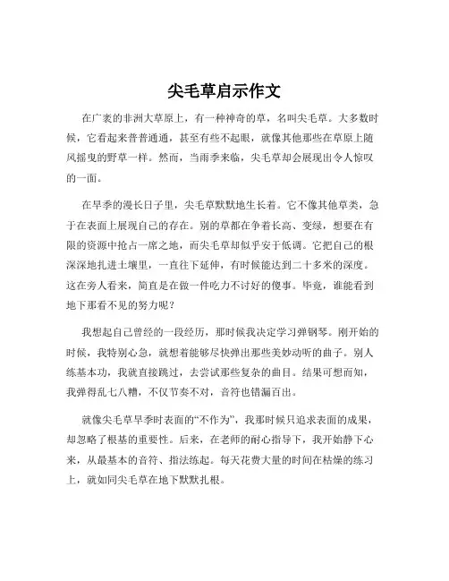 尖毛草启示作文