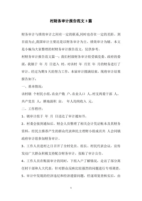 2020村财务审计报告范文3篇