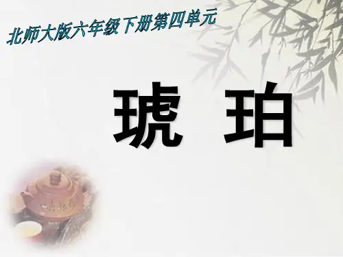 (赛课课件)六年级下册语文《琥珀》 (共16张PPT)