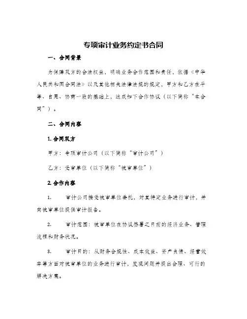 2024年专项审计业务约定书合同