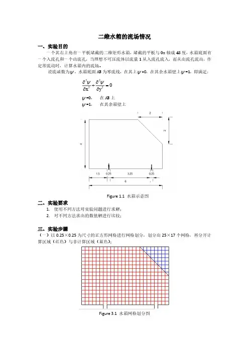 二维水箱流场问题